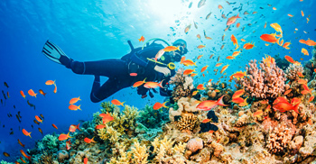 Scuba Diving in Goa Photo Scuba Diving in Goa